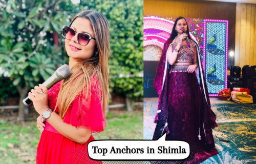 Top 10 Anchors in Shimla
